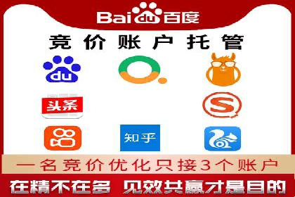 行业领先企业的SEM服务托管策略案例