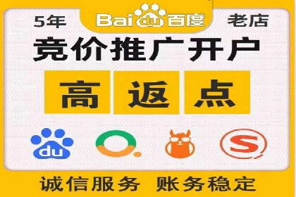 百度竞价托管公司案例分析：打造行业领军企业